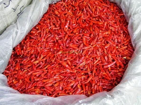 Dried chili pepper